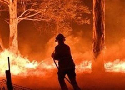 بارندگی از شدت آتش سوزی گسترده در استرالیا کاست، 24 انسان و 500 میلیون حیوان در آتش سوختند