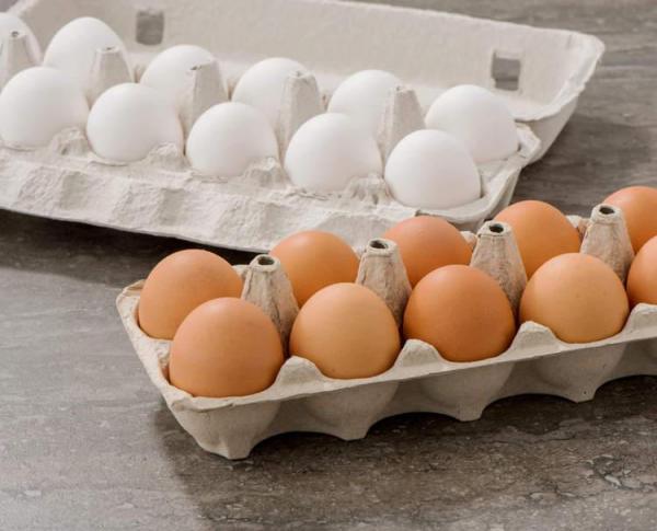 علت گرانی تخممرغ بستهبندی چیست؟