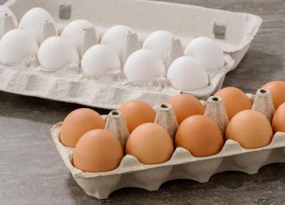 علت گرانی تخممرغ بستهبندی چیست؟