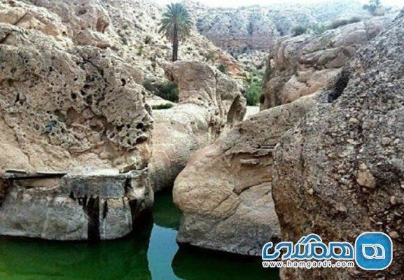 تنگ حنا خوش آب و هواترین منطقه در بوشهر به شمار می رود